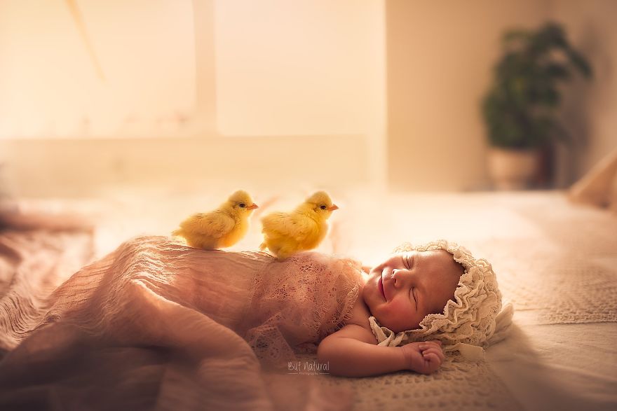 After My Dog Died Last Year I Swore I Won't Ever Get A Pet Again Until I Started Taking These Images.