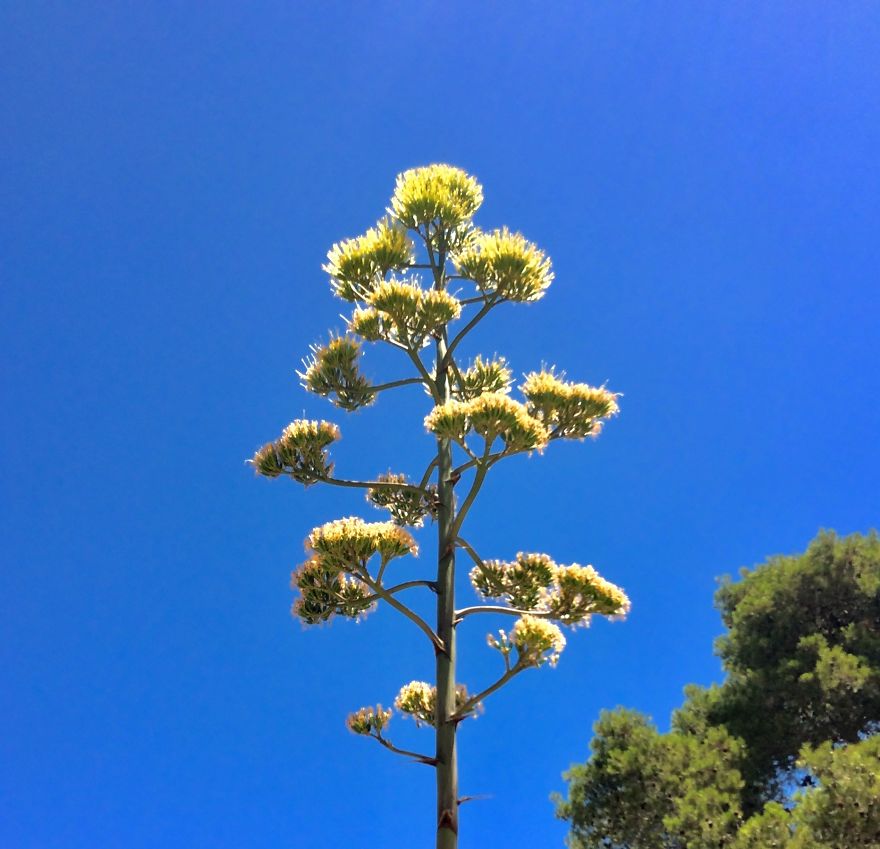 I Went To Sicily And Took Some Photos