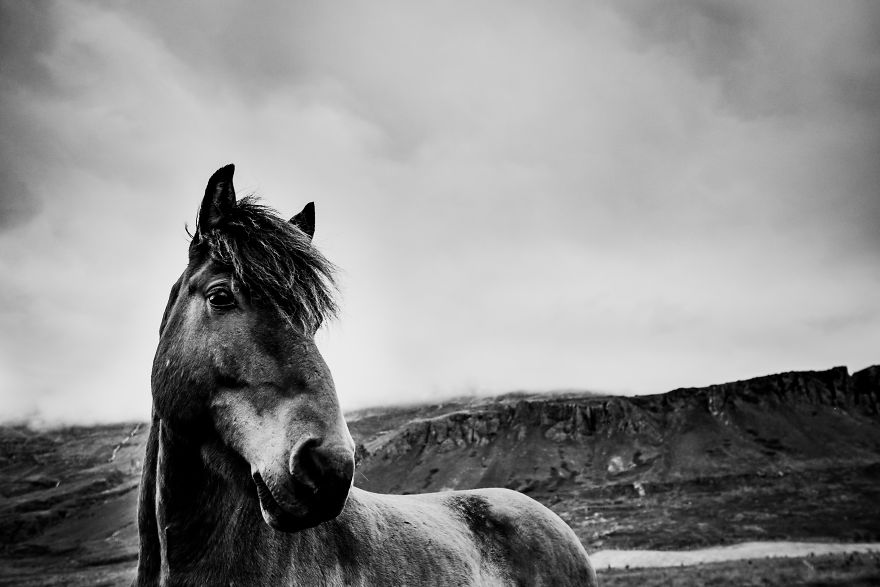 Iceland In Black And White