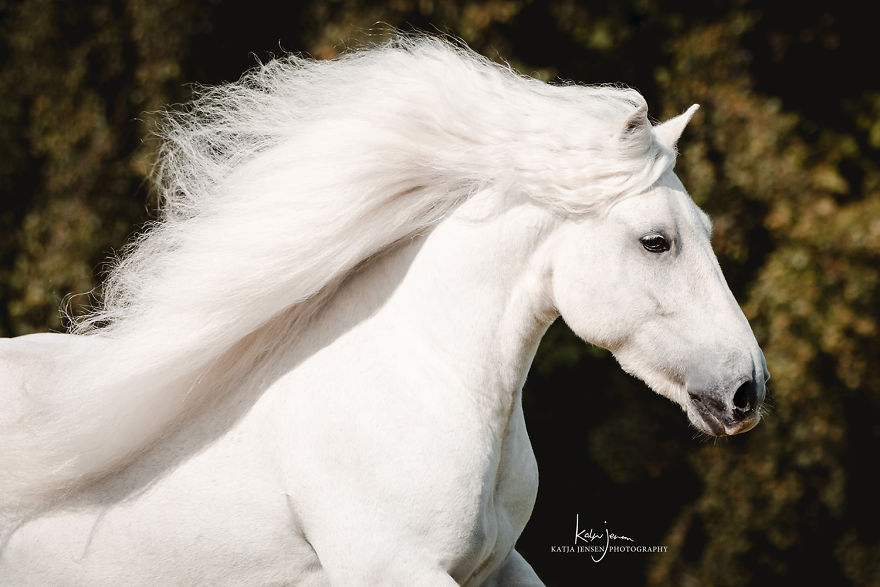 Bringing My Childhood Dreams To Life Bringing My Childhood Dreams To Life