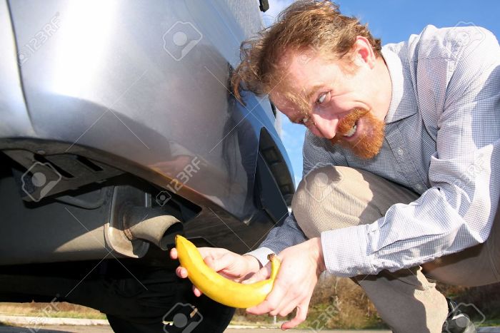 Man putting banana into car exhaust pipe