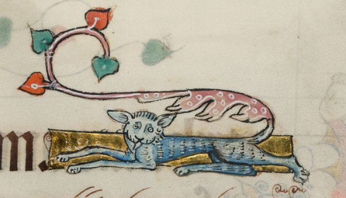 Medieval painting of an oddly drawn cat with humorous expression, adorned with decorative foliage.