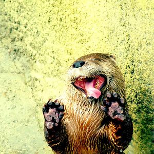 andrew-hultin avatar