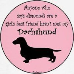 silverdapplebnt avatar