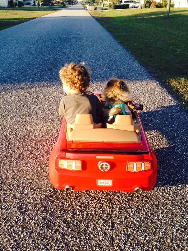 My Son May Never Have Gotten To Meet His Great-Grandfather, But He Did Inherit His Best Friend