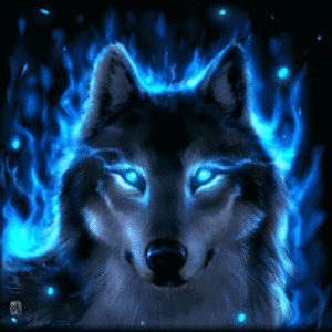 wolfloveanonymous avatar