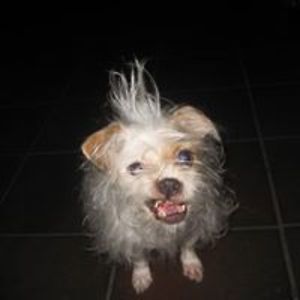 jamesrweedman avatar