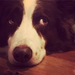 carla_scruggs avatar