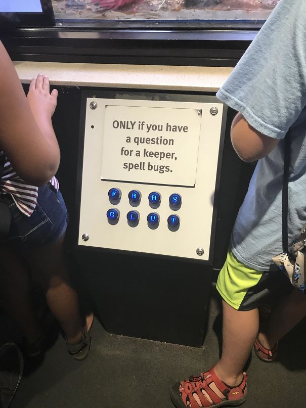 My Local Zoo Has A System To Prevent Little Kids From Pressing The Button And Disturbing The Keepers