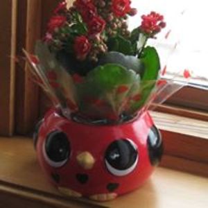 granny_venenga avatar