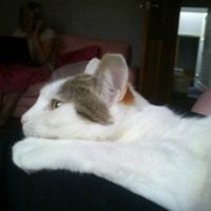 amanda_t_slade avatar