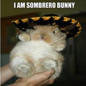 shawnclermont avatar