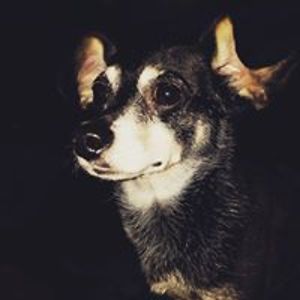 crazygolfer_618 avatar