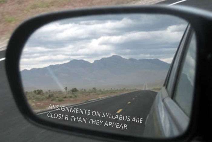 Professor Just Started Updating The Course Site And Added This Photo