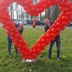 vanbruggenanne avatar