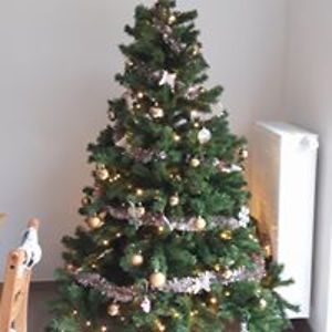 barbara_verdonck avatar