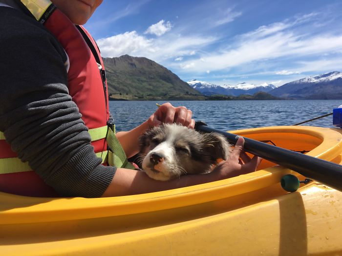 Took Our Little Guy Kayaking The Other Day, The Excitement Of The Waves / Ducks Smells Was Too Much For The Little Guy It Seems! Fell Straight Asleep