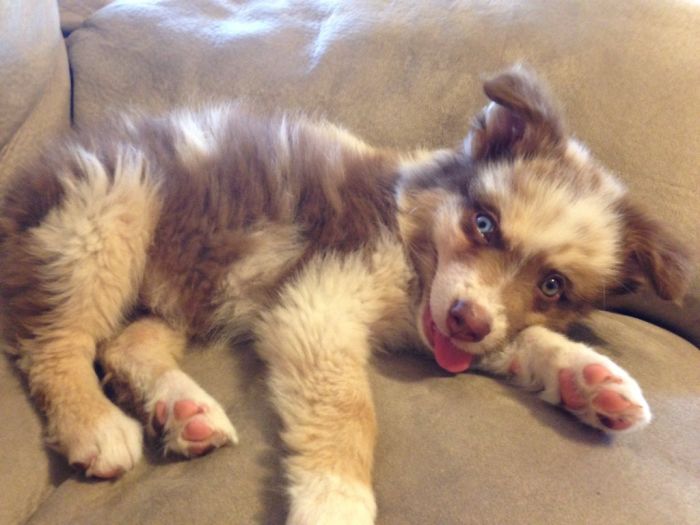 Everyone, Meet Tucker