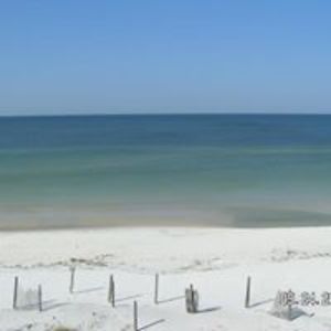 cruzen2florida avatar