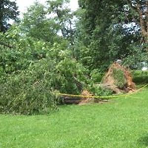 starcityflyer avatar