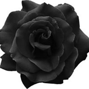 c_renee_thomas avatar