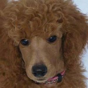 amfinallydunn avatar