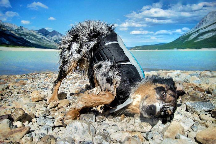 Atlas's Beached Whale Impression