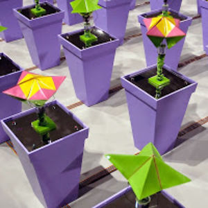 Geoffrey Drake-Brockman