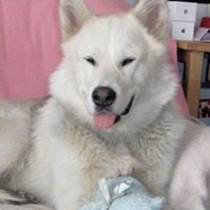 tinkerbabe6969 avatar