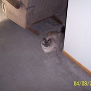 kellymonessa_1 avatar