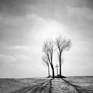 adelaidemcallister avatar