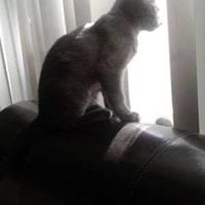 vmontoya122676 avatar