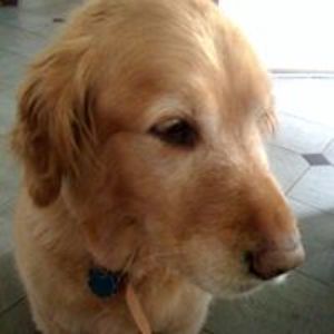 cathy_nebeker avatar