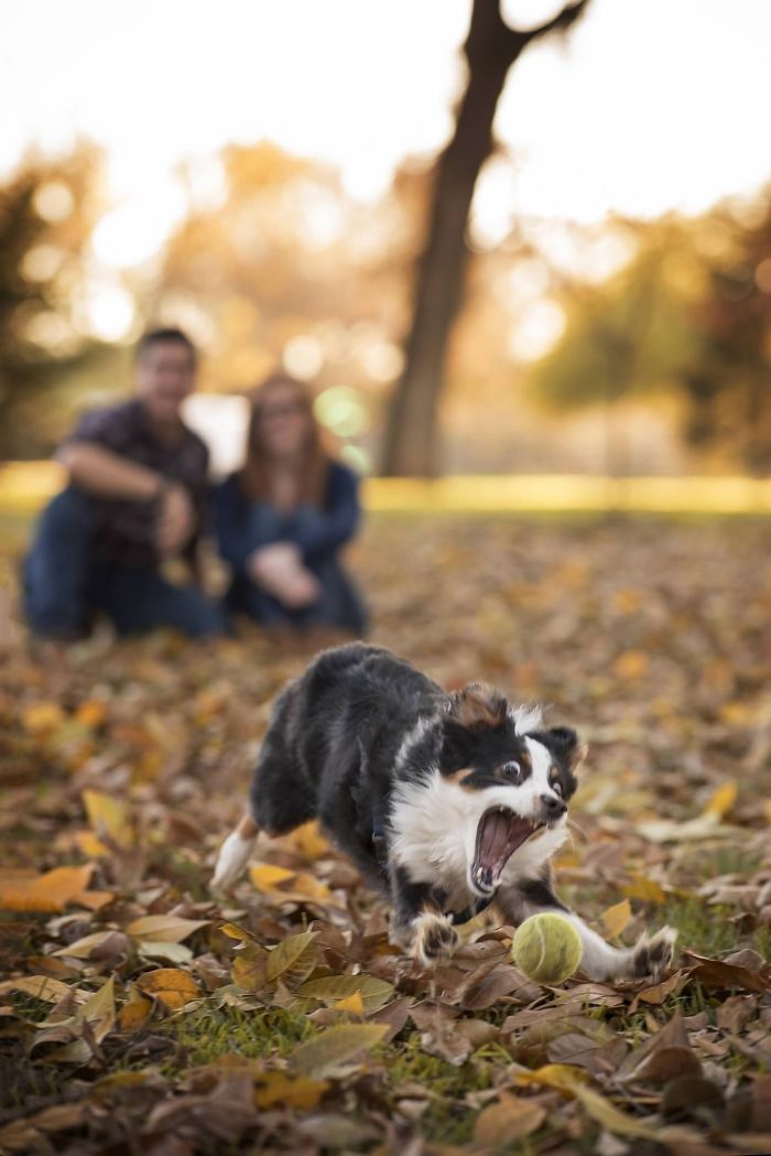 Ermahgerd Tehnish Behl!