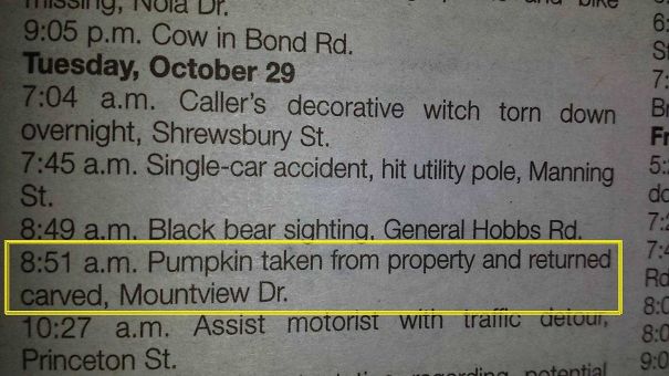 Small Town Police Log