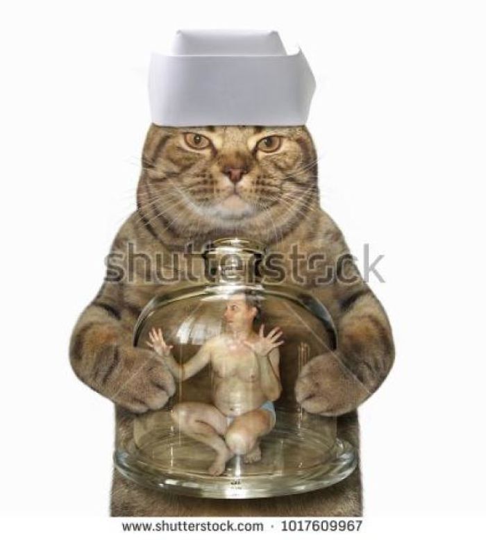Cat in a medical cap holding a small man under glass