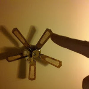 mollyjaynelandon avatar