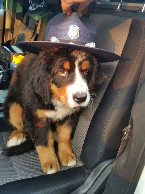 My Brother-In-Law Who Is A Police Officer Told Me He Had A New Partner