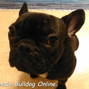 fonziebulldog avatar