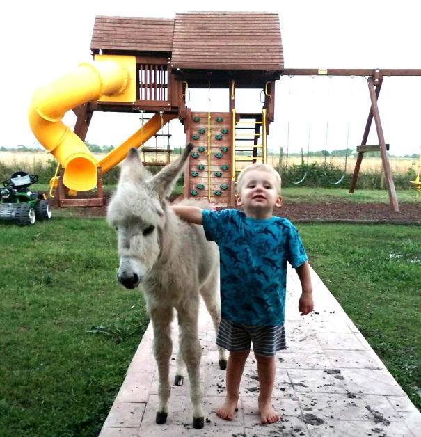 He's So Proud Of His Baby Donkey