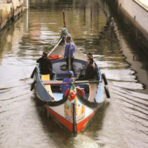 davidjimenez_1 avatar