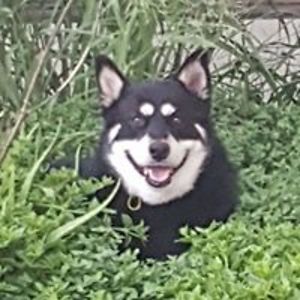 karen_newton68 avatar