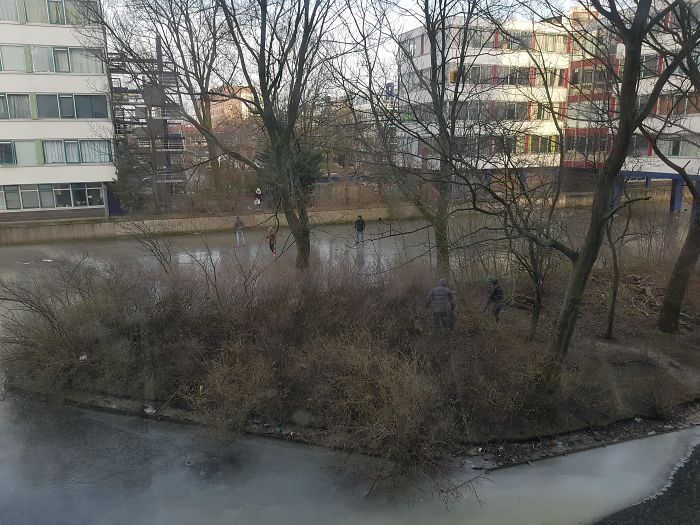 For The First Time In 5+ Years The Island Beside My House Can Be Walked To On Ice. My Neighbors Immediately Walked Over With Trash Bags To Start Cleaning It