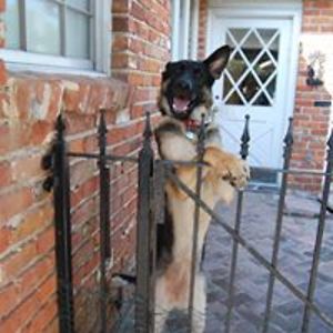 nawlinsladies avatar