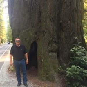 grahamfriesen avatar