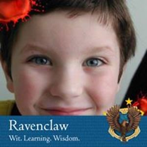 nikola_plamenov avatar