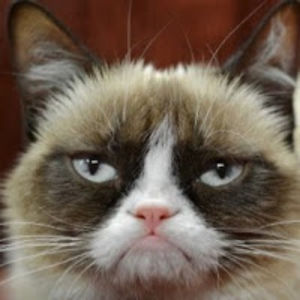 laurielaidley avatar