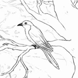 theanimationcrew204_yt avatar