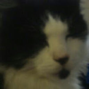 kristy-leebornatici avatar