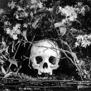 salondesimone avatar